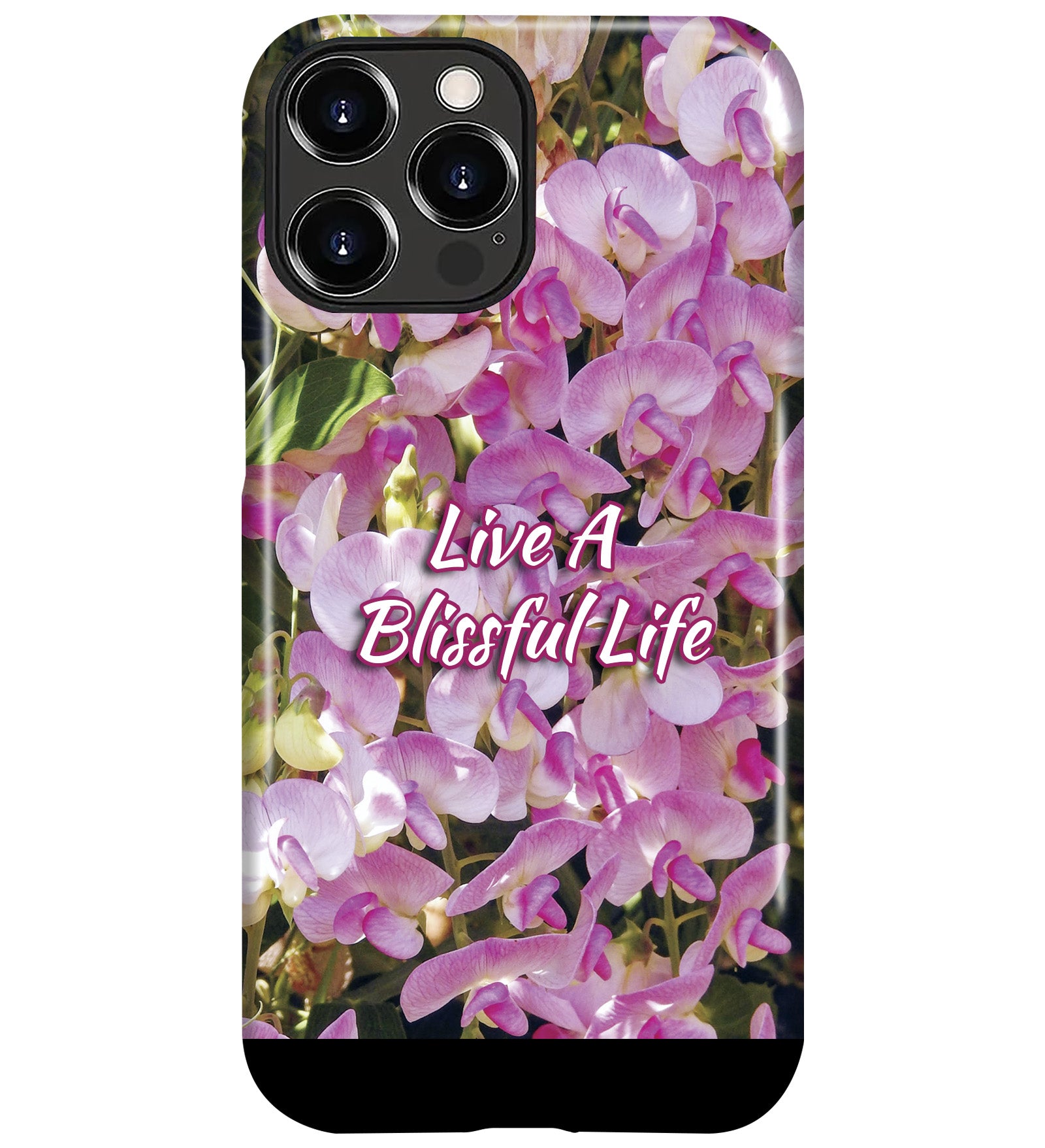 CCFW04